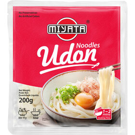 Noodles Udon Miyata