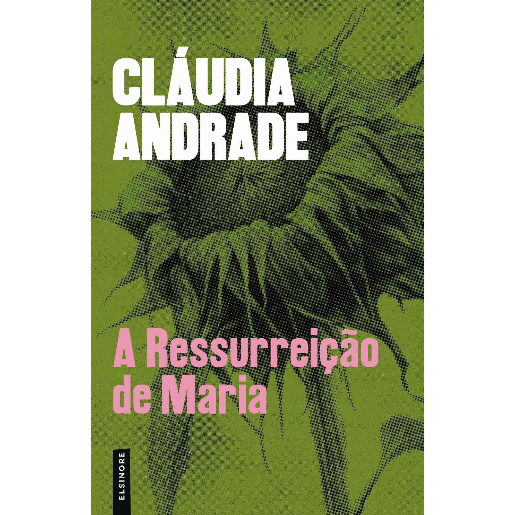A Ressurreição de Maria A Ressurreição de Maria
