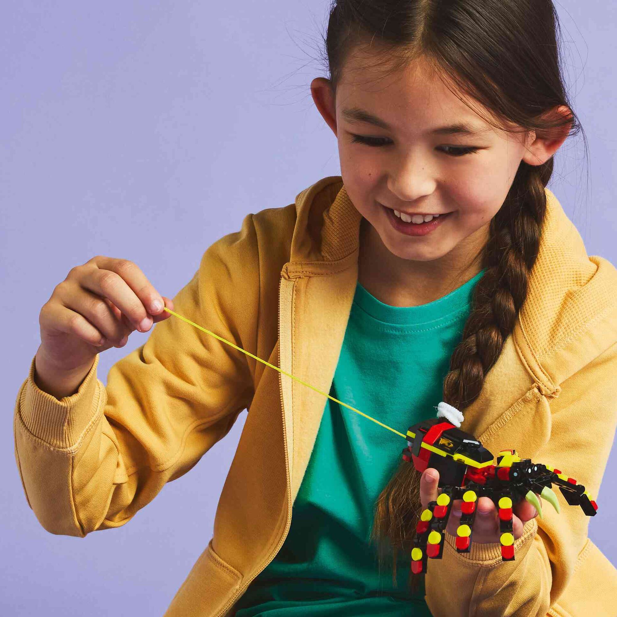 Animal Selvagem: Aranha Surpreendente - 31159