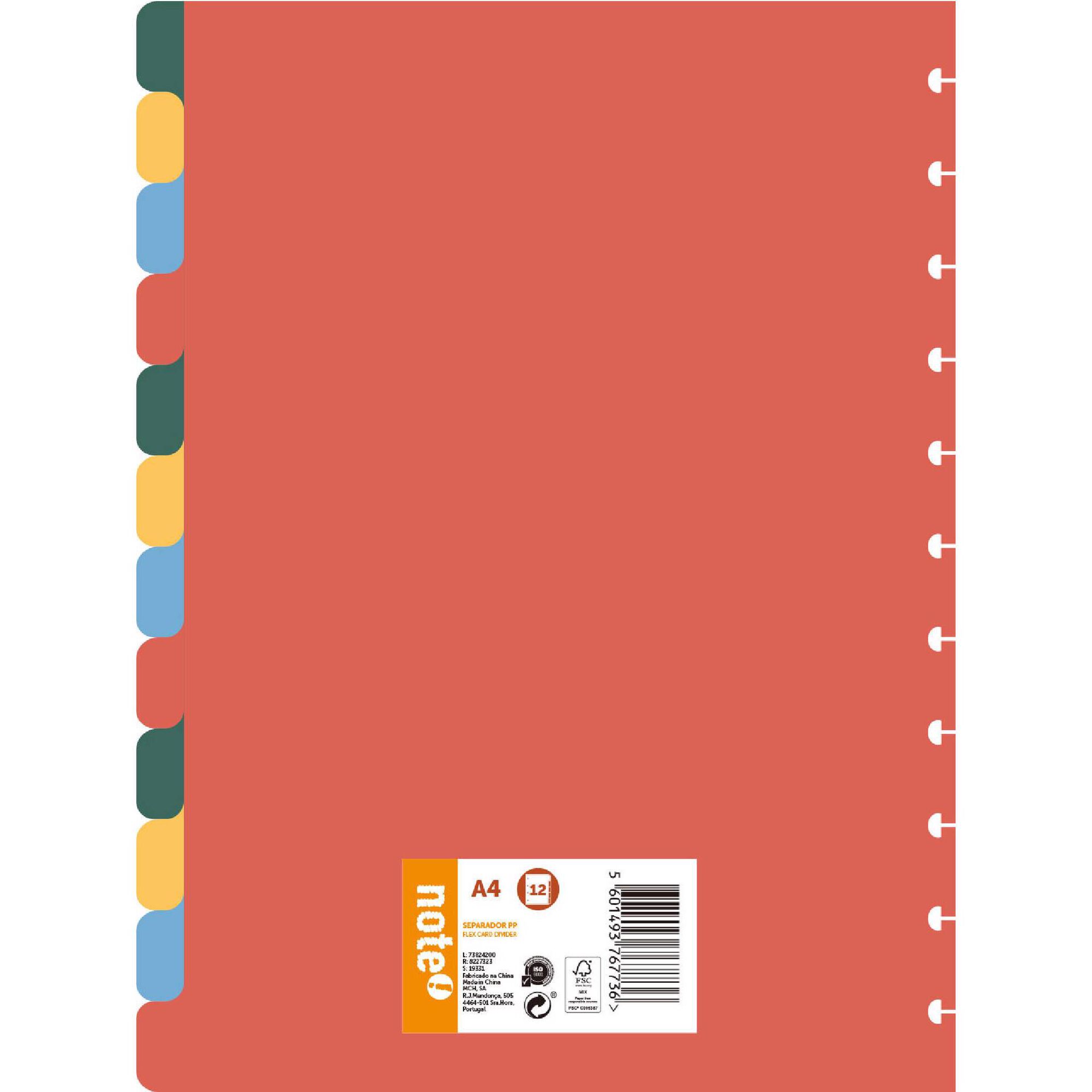 Separador 12 Divisórias A4 Polipropileno