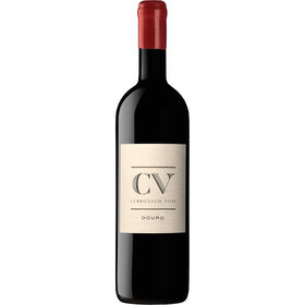CV Curriculum Vitae Douro Vinho Tinto