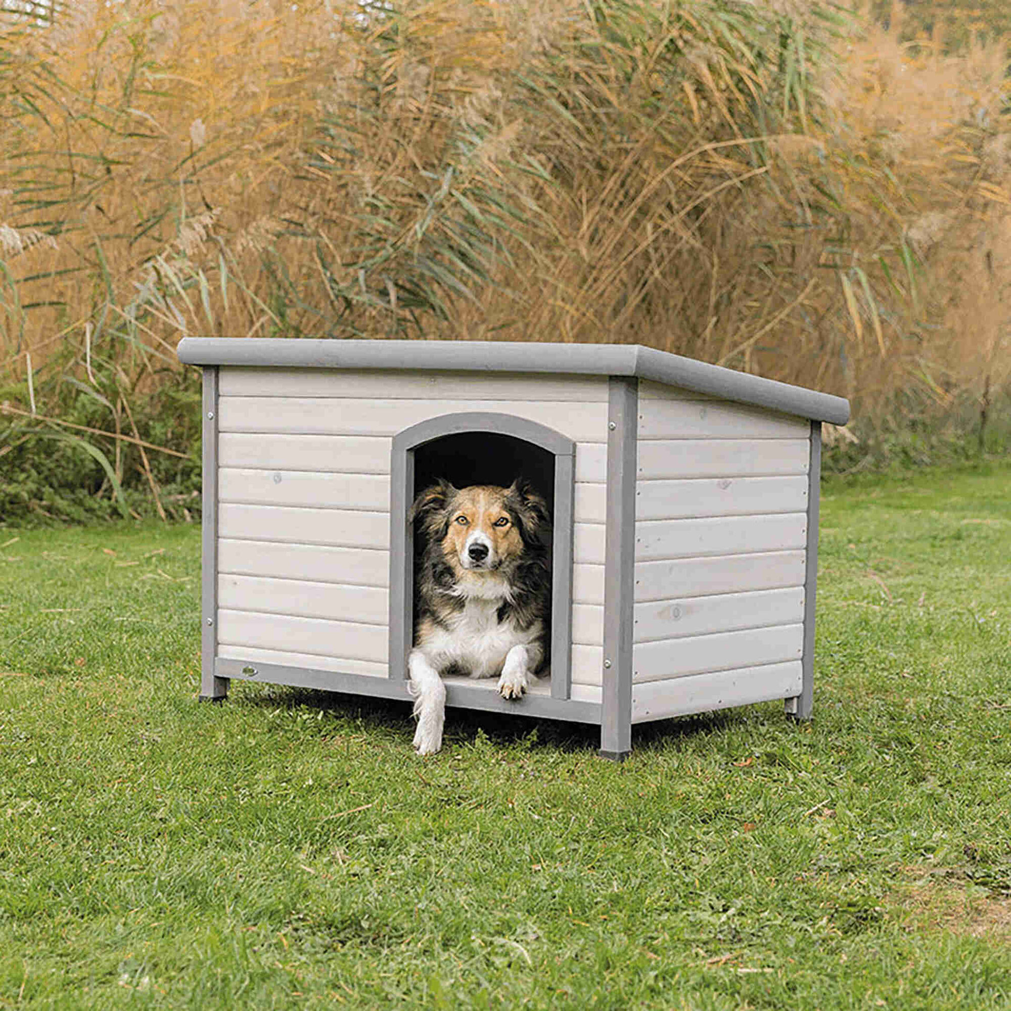 Casota Classic Cinza Trixie