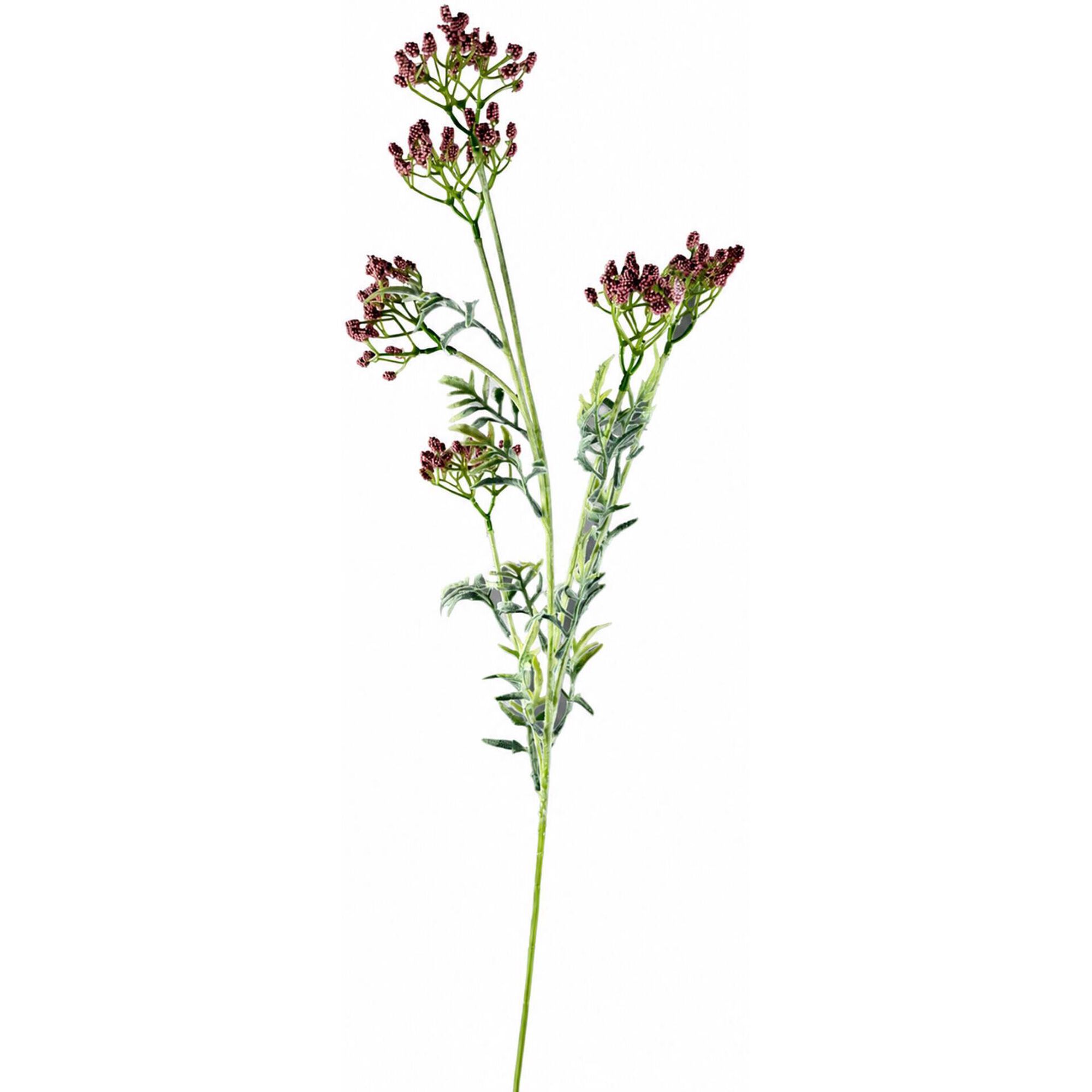 Haste Ramos Flores Rosa Kasa