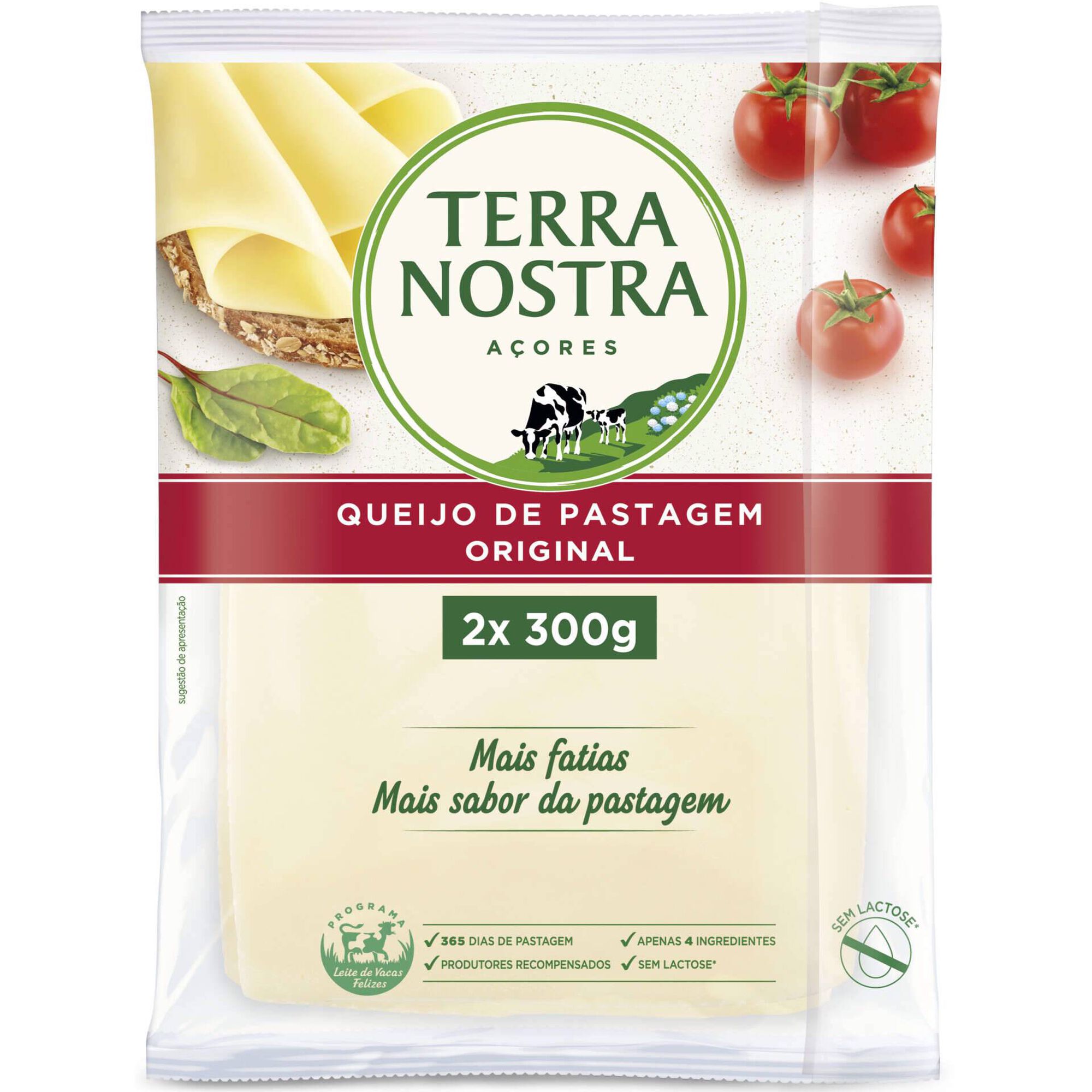 Queijo Flamengo sem Lactose Fatiado Terra Nostra