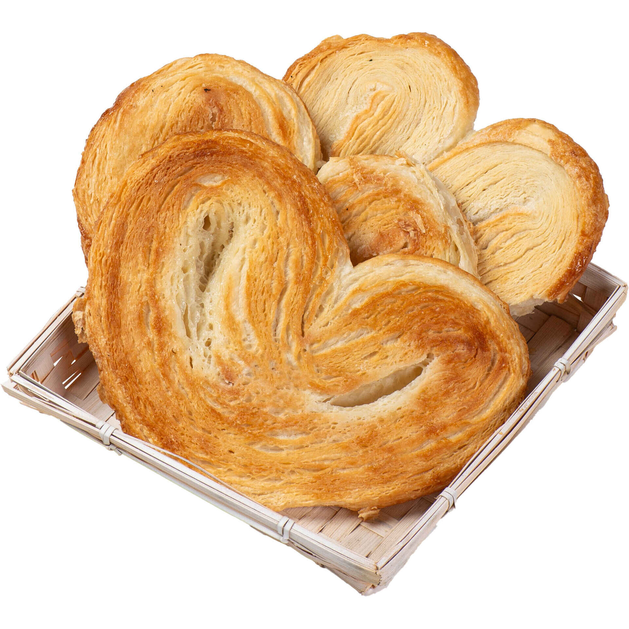 Palmier XL Continente