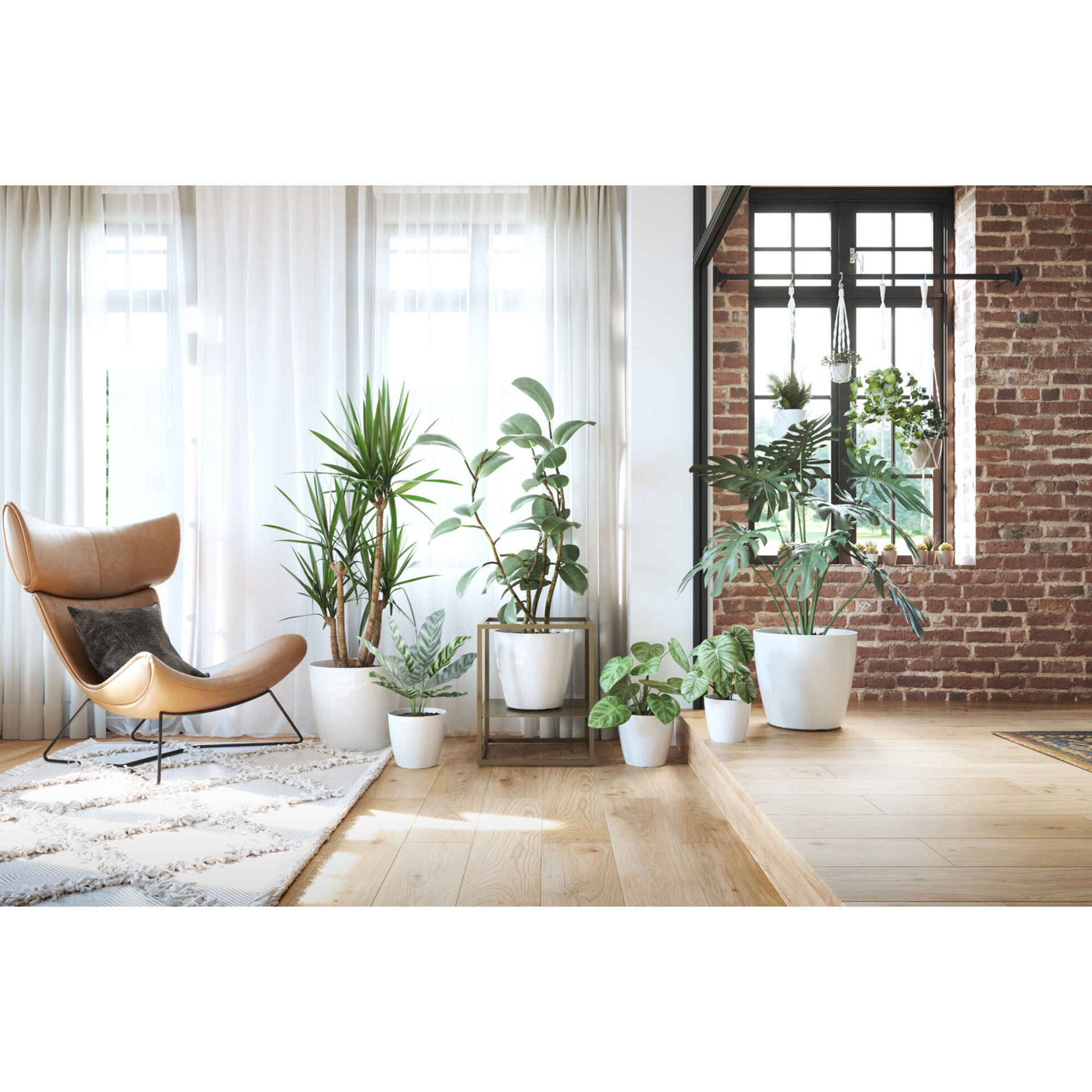 Vaso Redondo Plástico 12cm Transparente