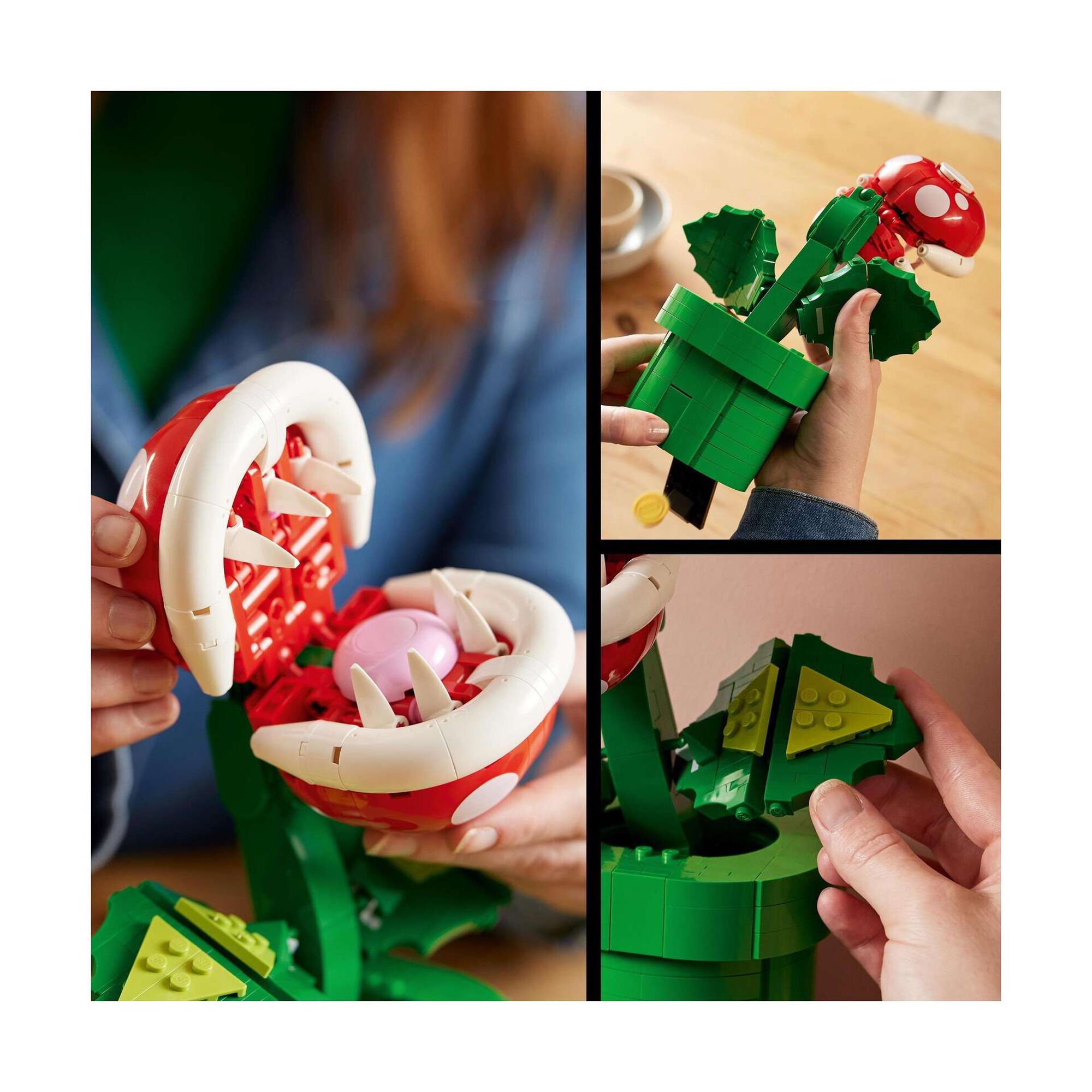 Planta Piranha - 71426 Planta Piranha - 71426