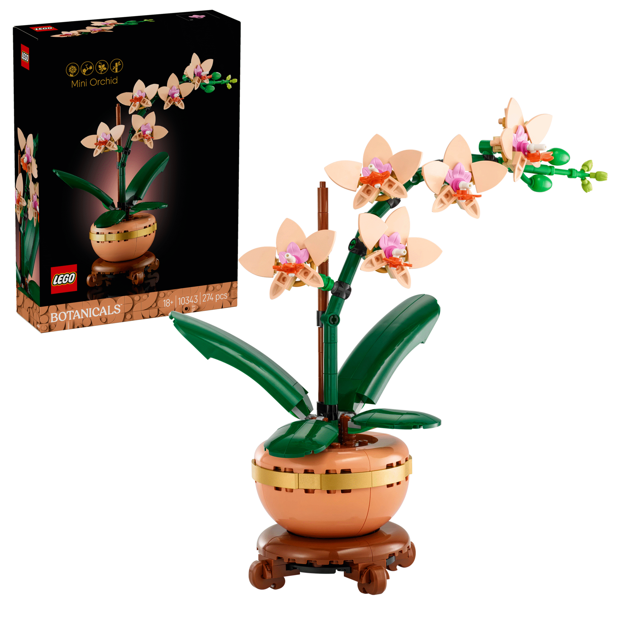 Orqu&iacute;dea em Miniatura - 10343