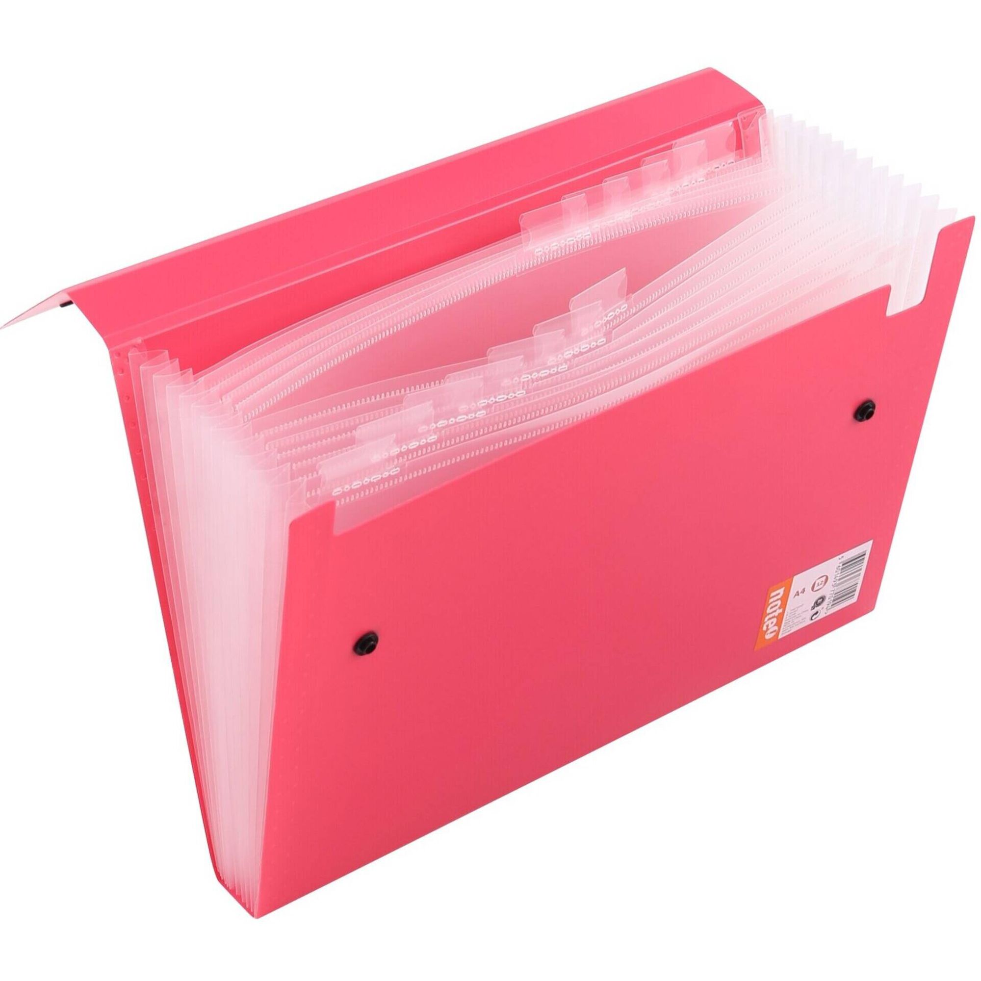 Pasta de Fole A4 com 12 Divisórias (várias cores)