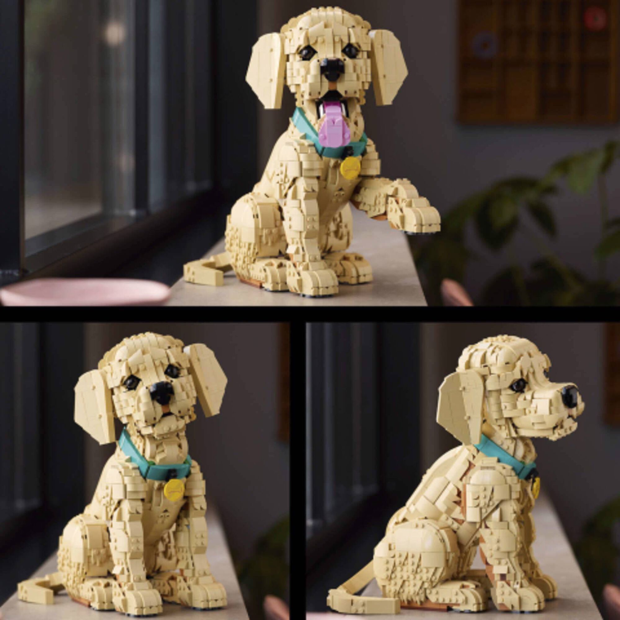 LEGO Icons - Cachorrinho Golden Retriever - 11384