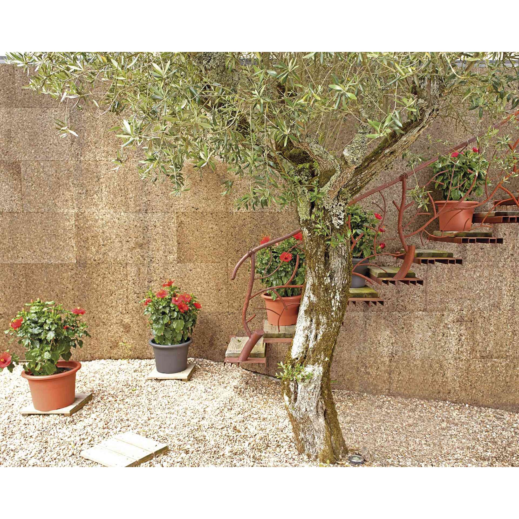 Vaso Redondo Plástico 25cm Terracota