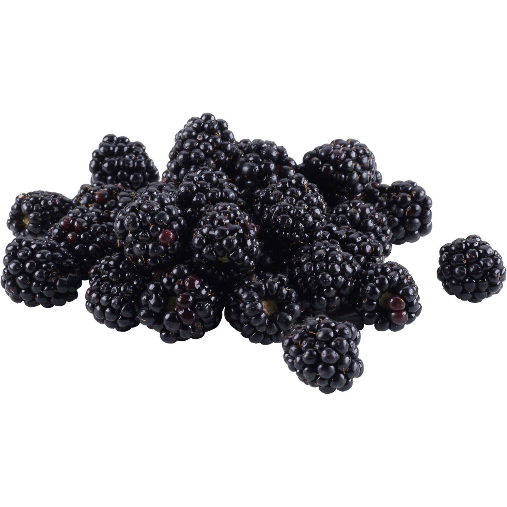 Amora Biol&oacute;gica