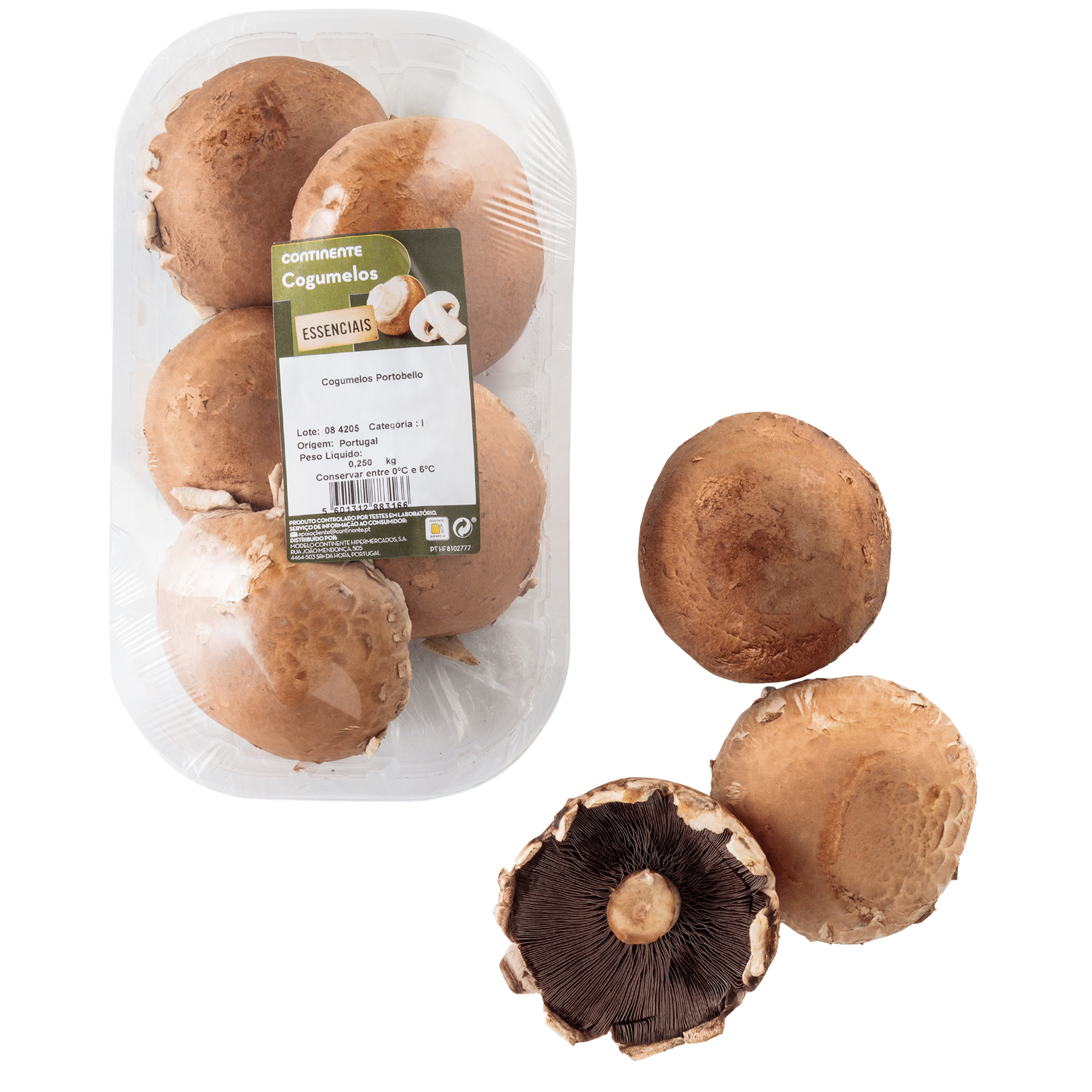 Cogumelo Portobello Fresco