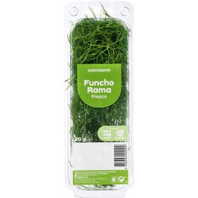 Funcho Rama Fresco Continente