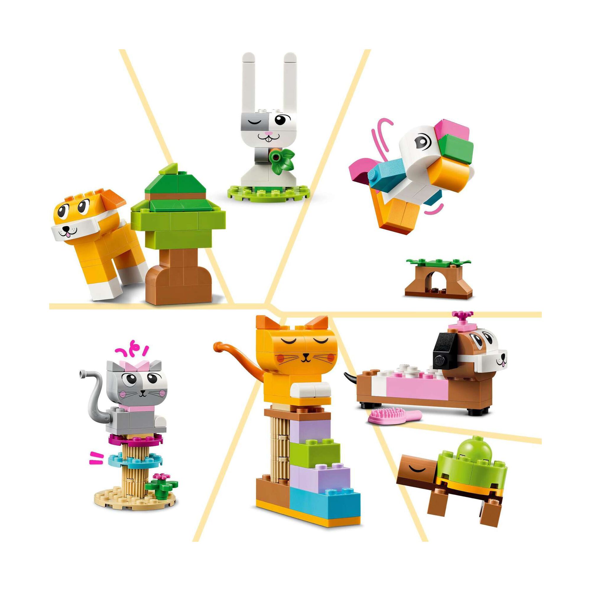 Animais de Estimação Criativos - 11034