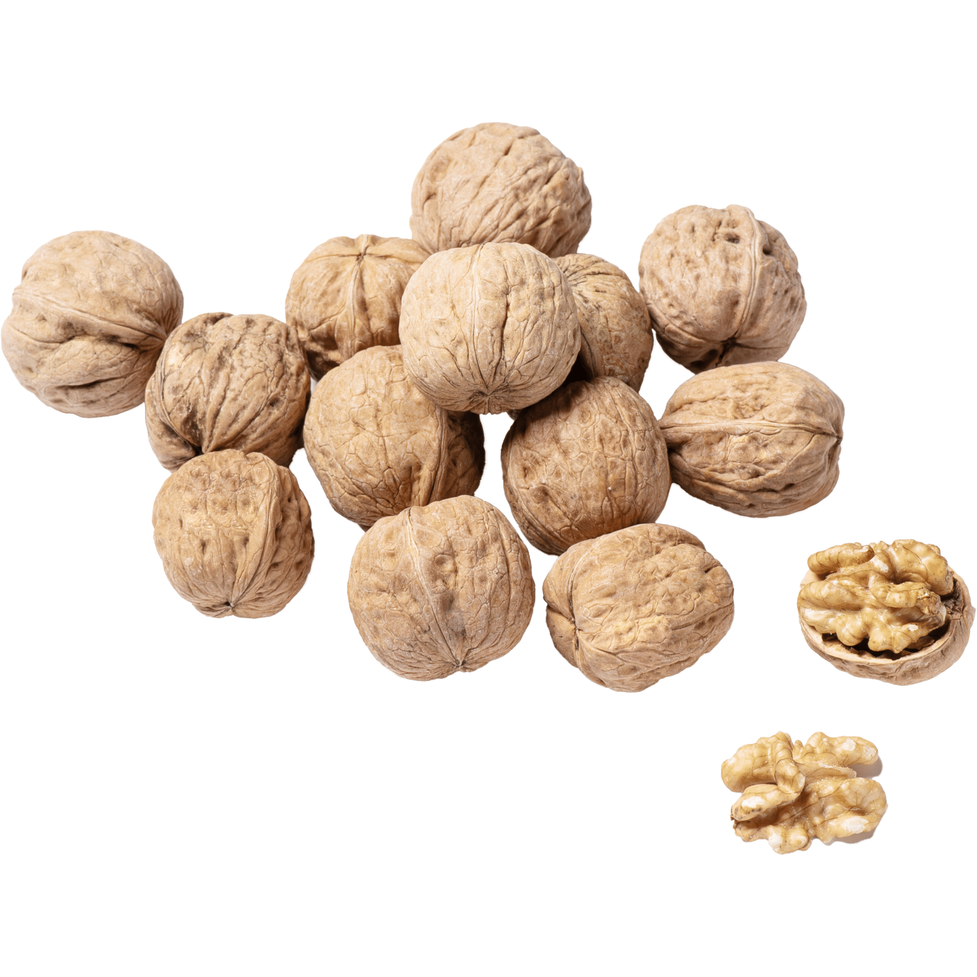 Noz com Casca Biol&oacute;gica