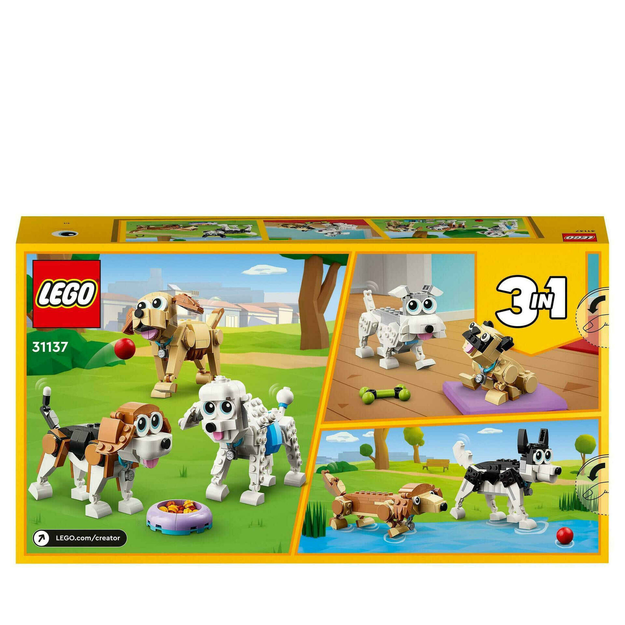 Cães Adoráveis - 31137