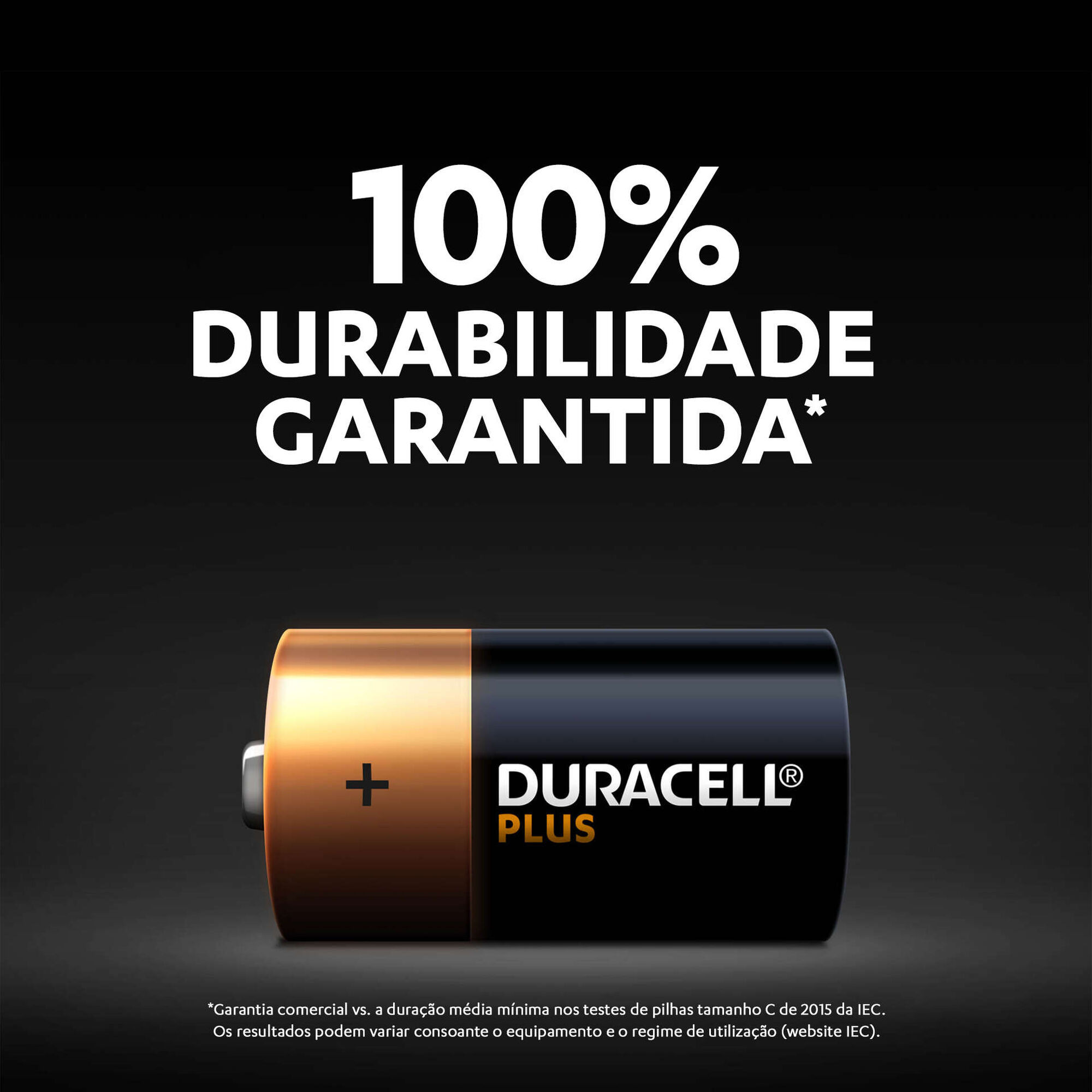 Pilhas C Plus Pilhas C Plus