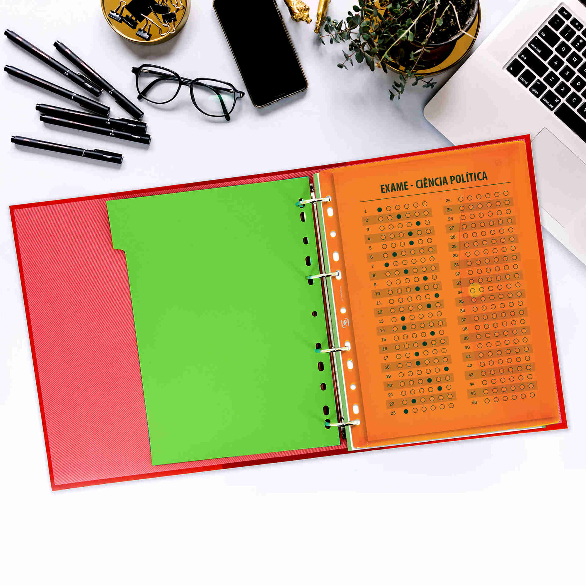 Classificador Envelope Perfurado com Mola A4 (várias cores)