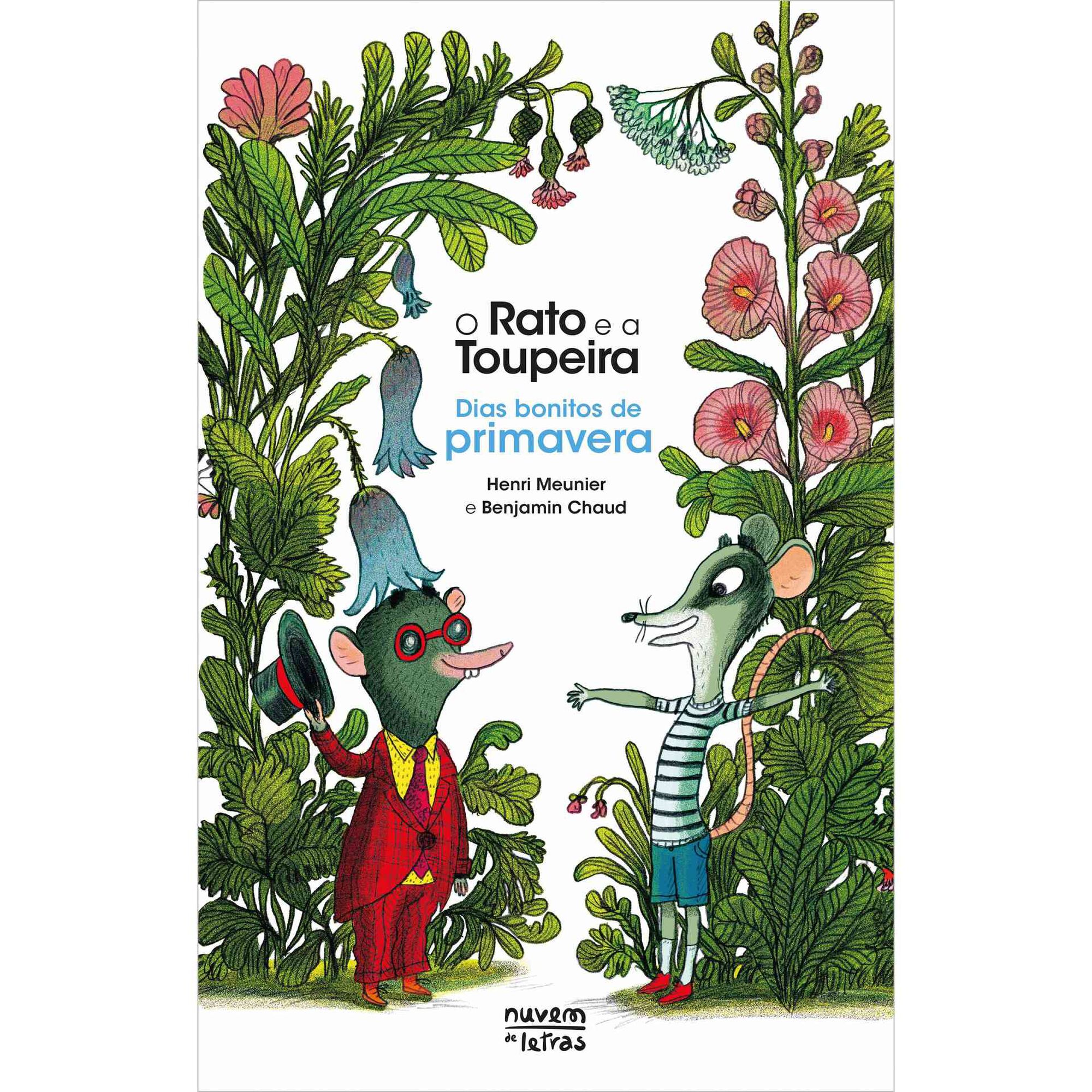 O Rato e a Toupeira de Henri Meunier