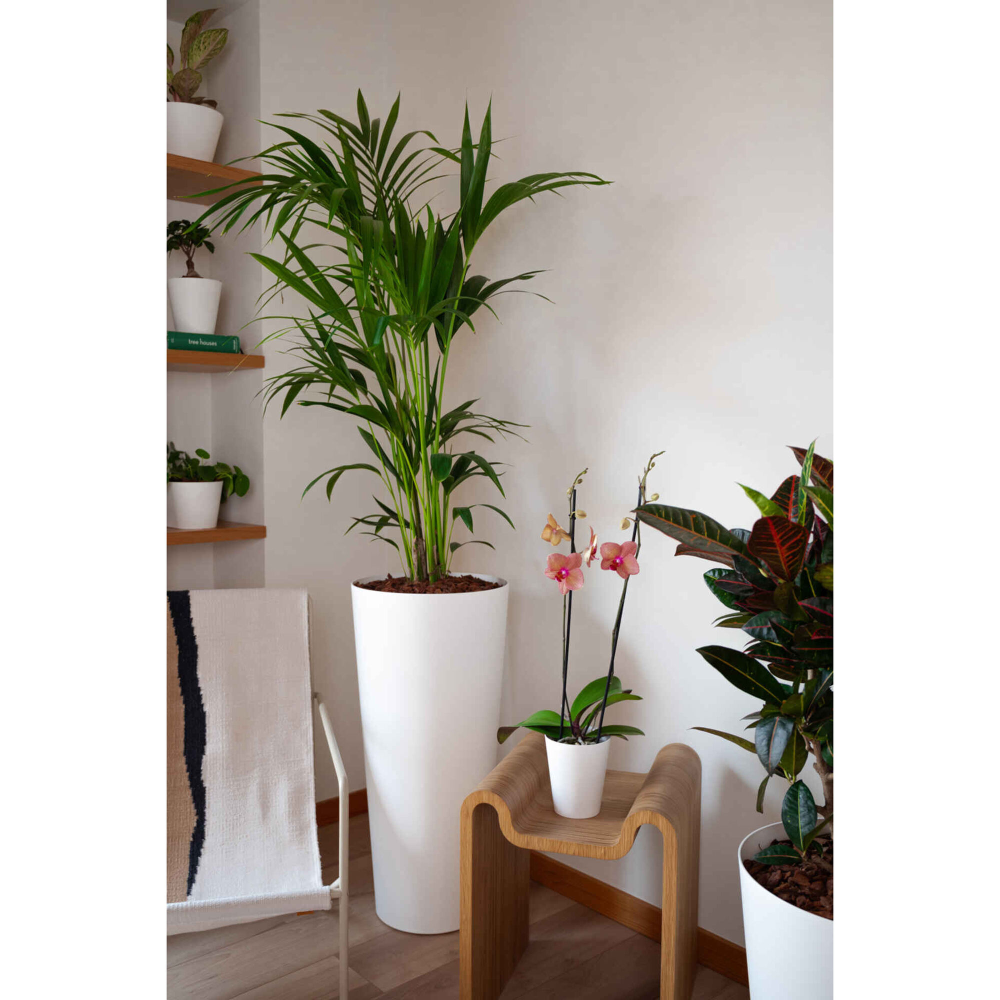 Vaso Redondo Plástico 12,5cm Branco