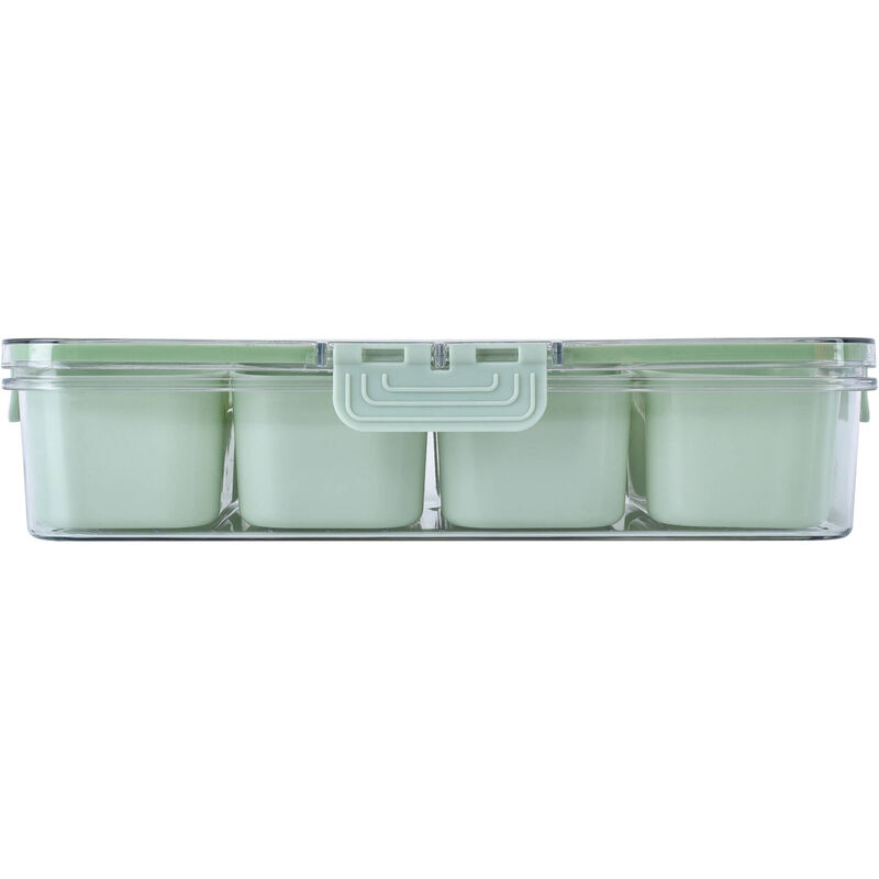Caixa Hermética com 8 Compartimentos 31x23,8x7cm Verde Kasa