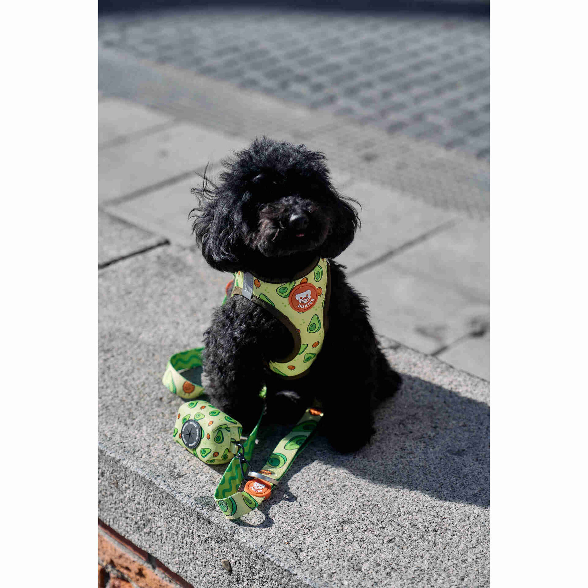 Peitoral para C&atilde;o Avocado M Dukier