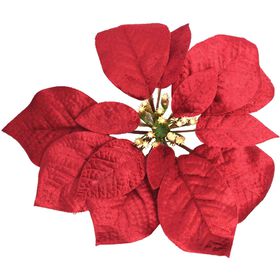 Poins&eacute;tias Vermelha