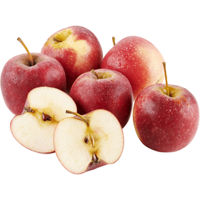 Ma&ccedil;&atilde; Story