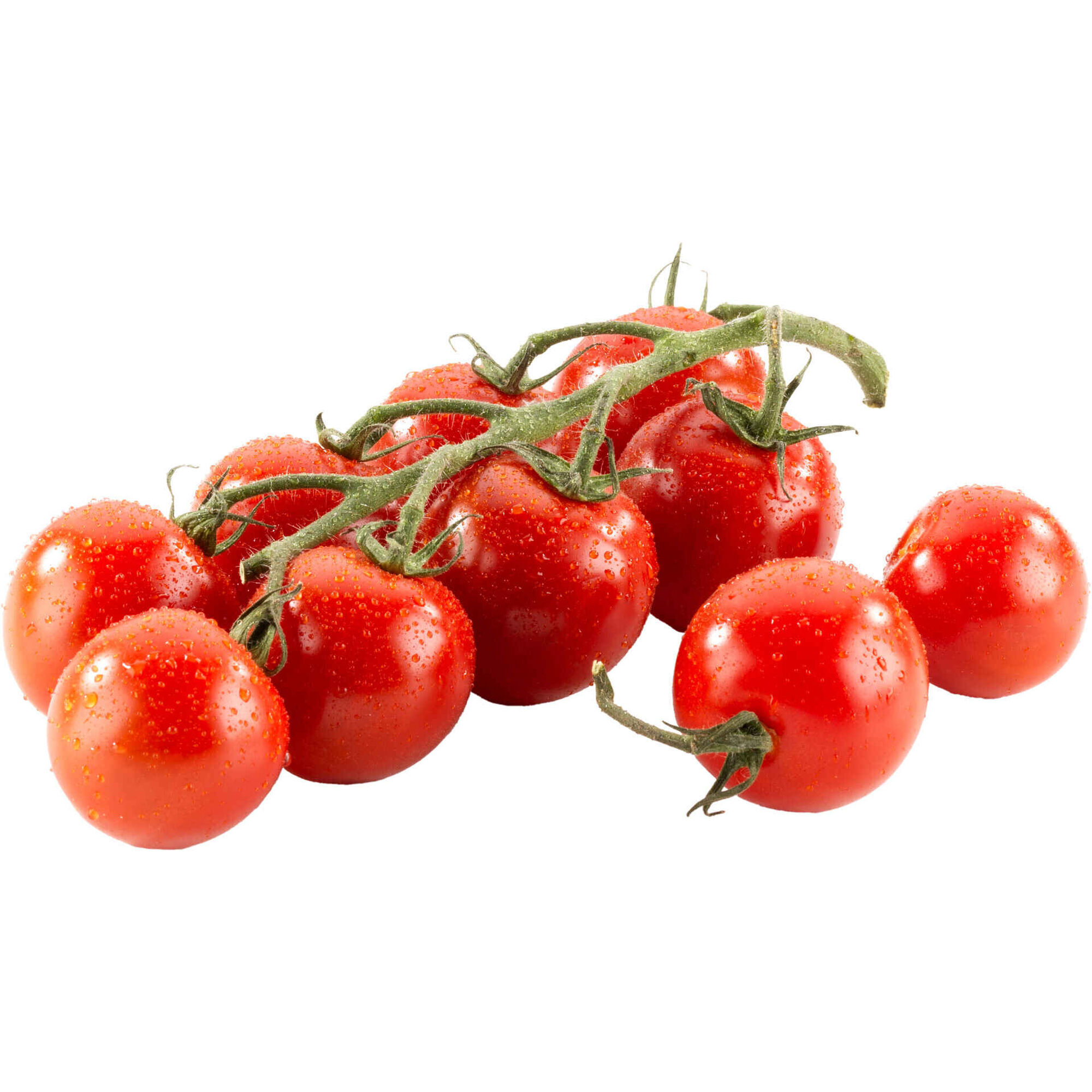 Mini Tomate Cacho Continente