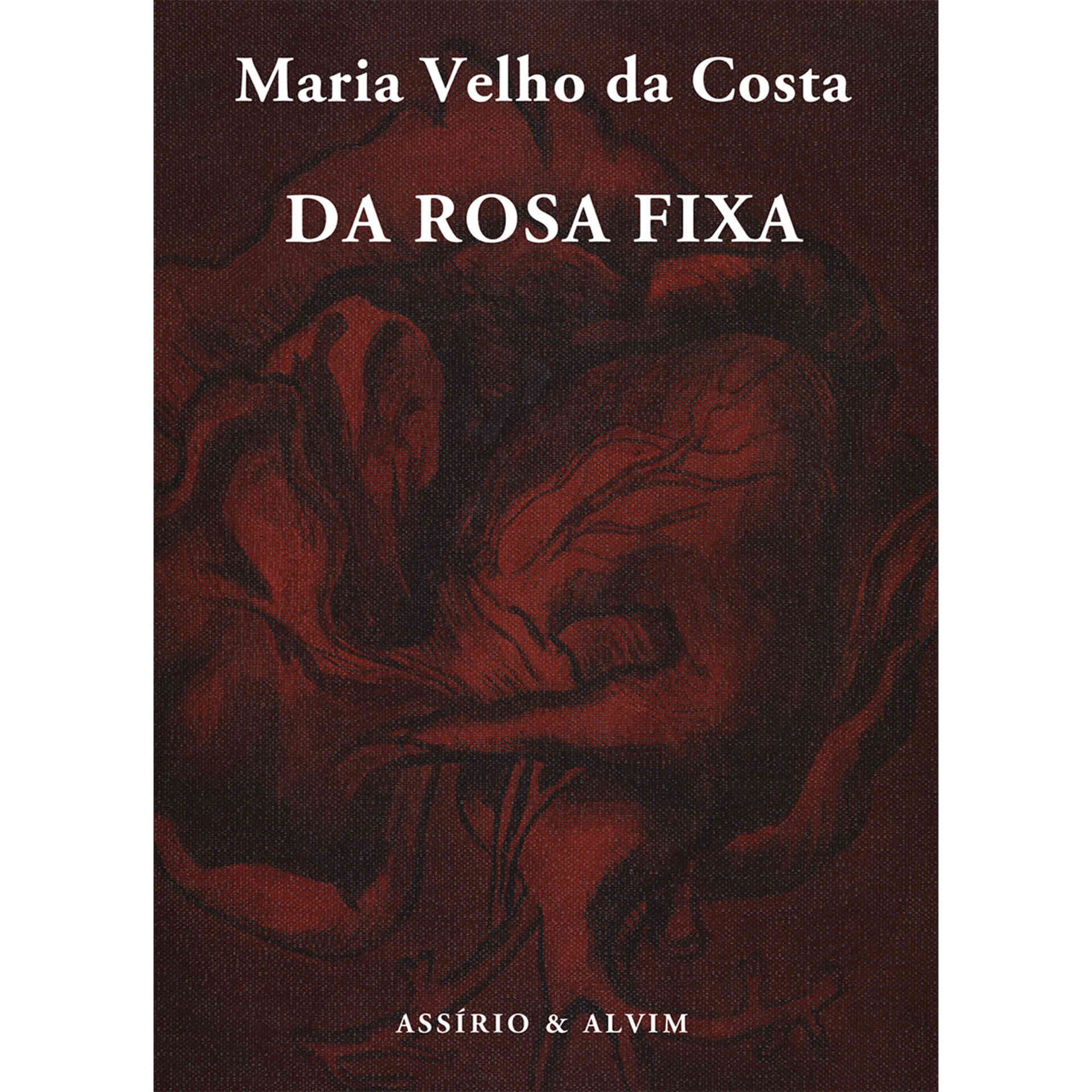 Da Rosa Fixa de Maria Velho da Costa