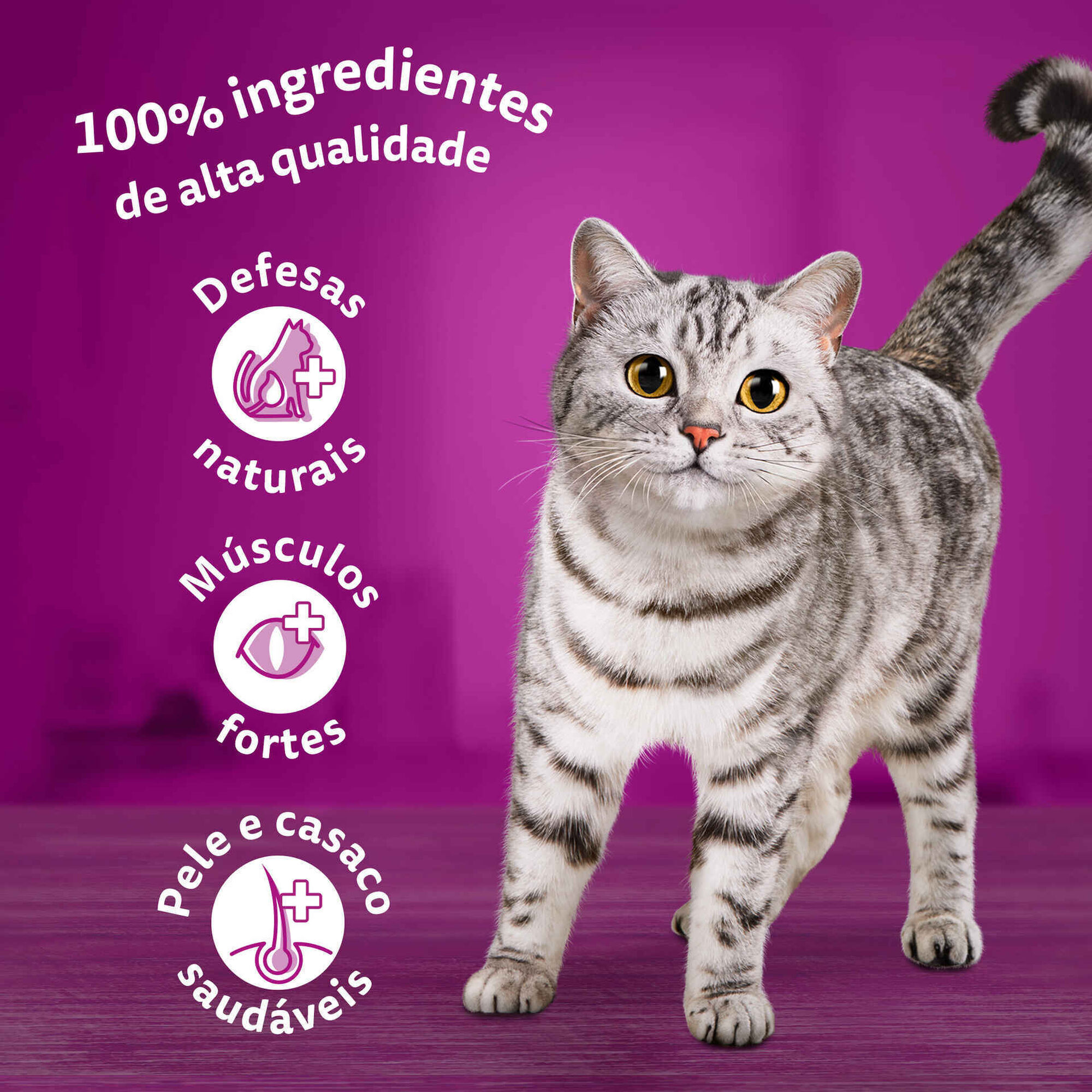 Ra&ccedil;&atilde;o para Gato Adulto Atum Whiskas