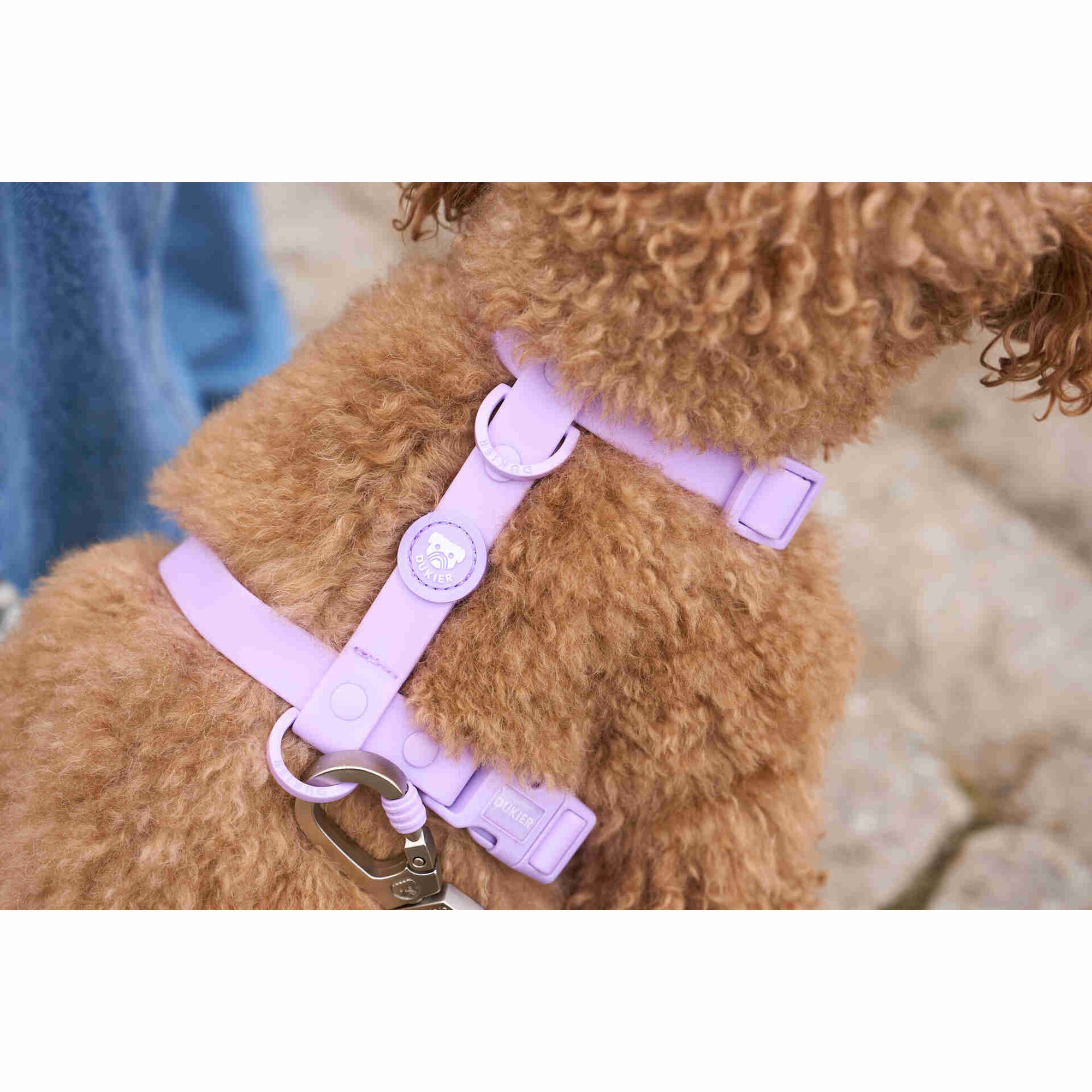 Arn&ecirc;s para C&atilde;o Waterproof Purple M Dukier