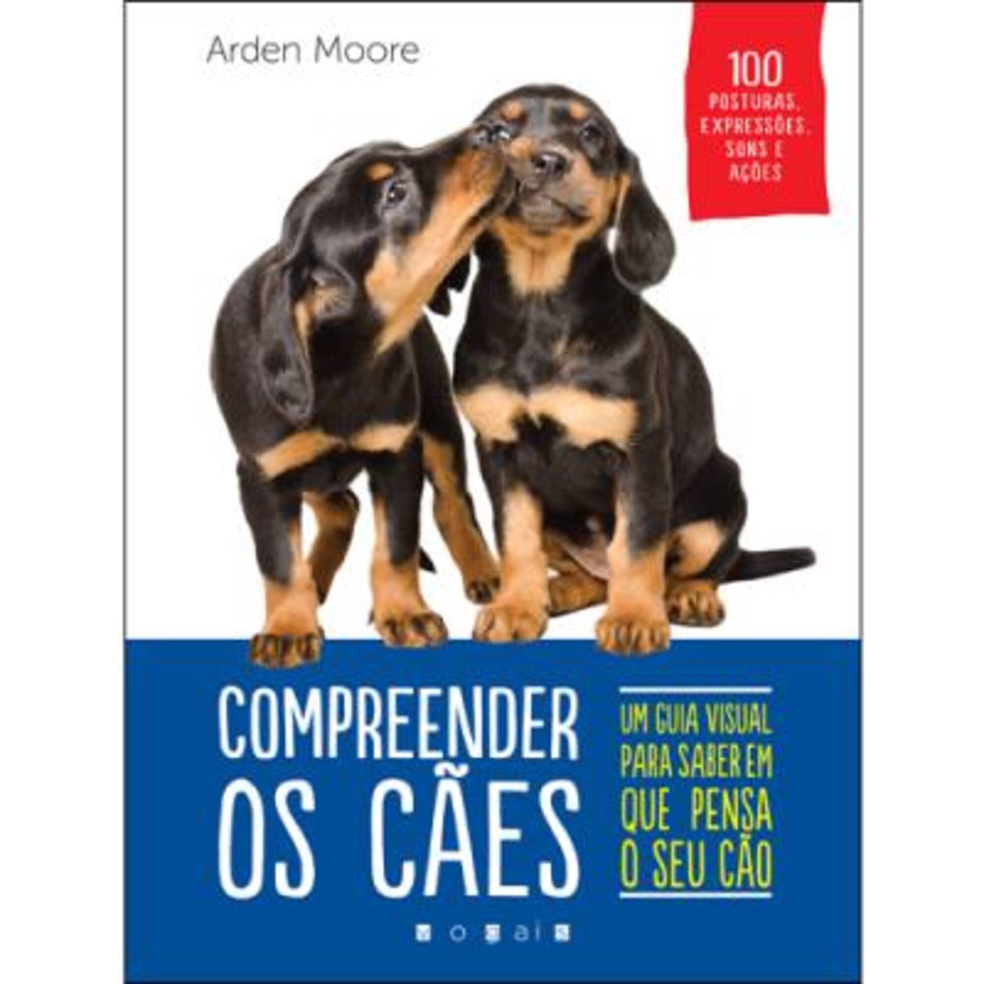 Compreender os Cães