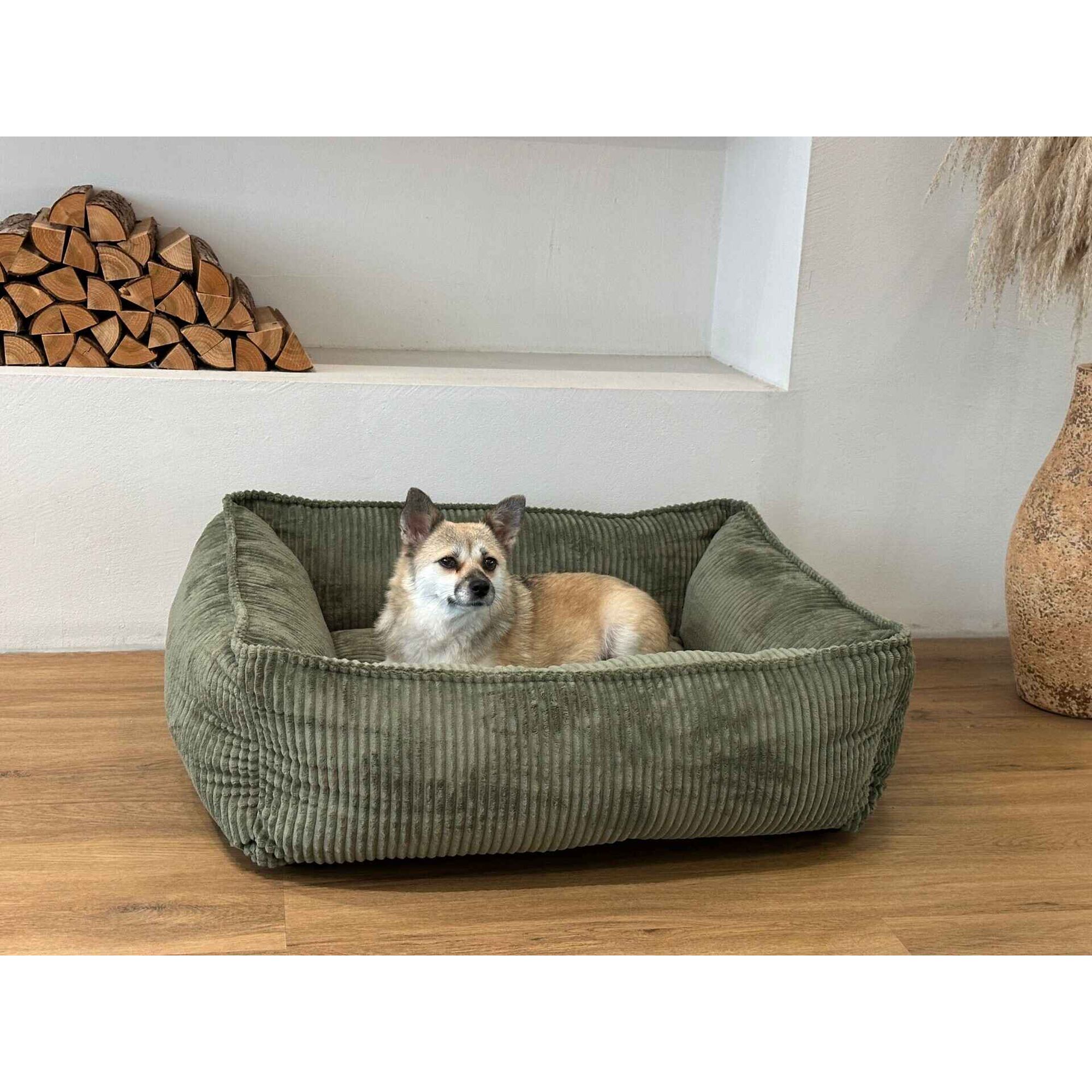 Cama Velvet Verde 78cm Lupi Linx