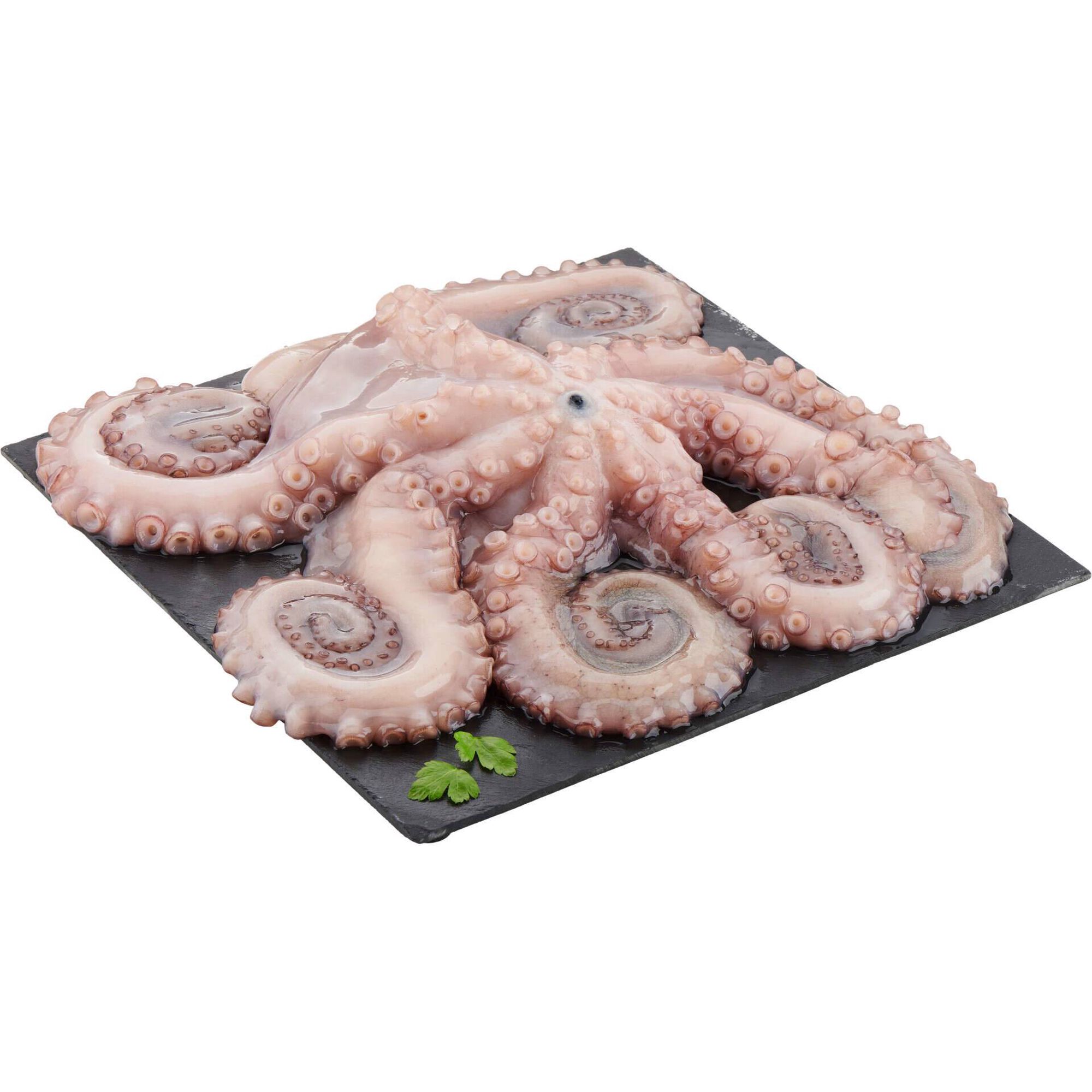 Polvo Congelado (800 gr a 1,5 kg)