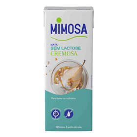 Natas Cremosas sem Lactose Natas Cremosas sem Lactose
