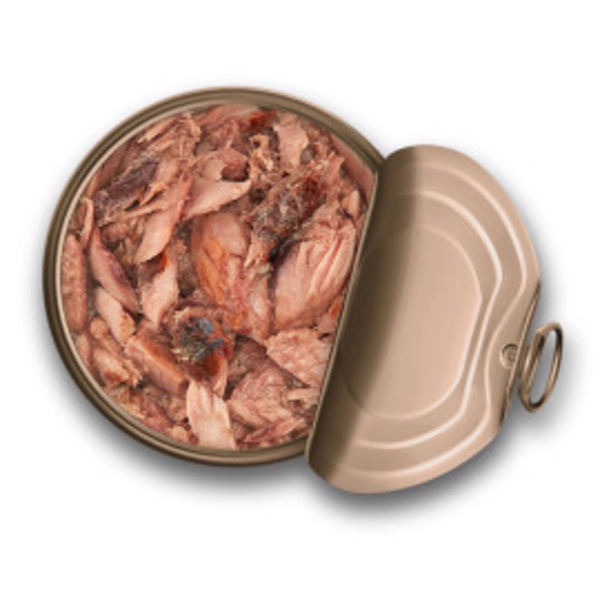 Comida H&uacute;mida para gato S&eacute;nior Silver Atum e Cavala Schesir