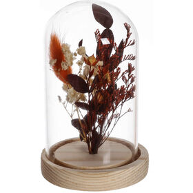 Camp&acirc;nula Flores Secas Rosa