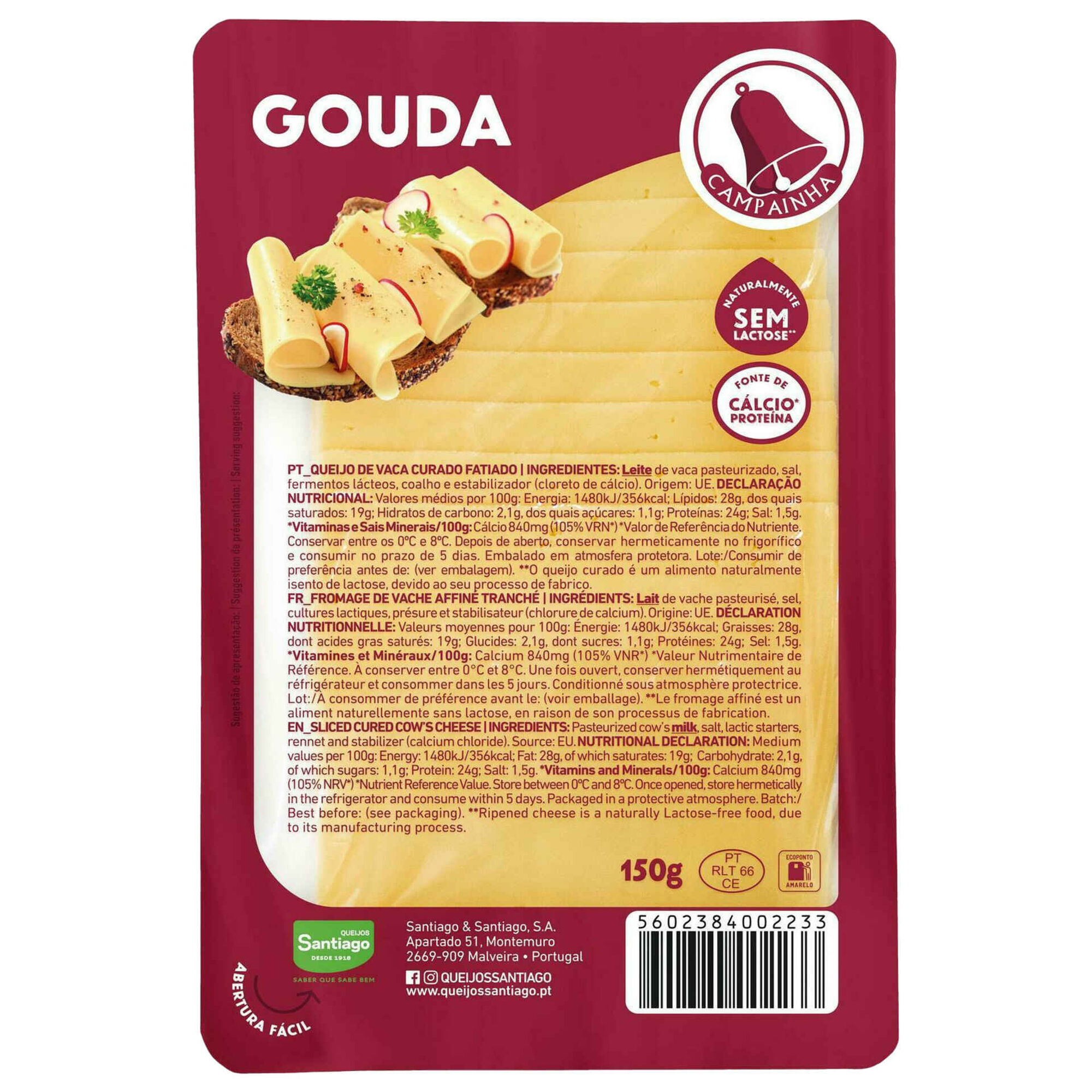 Queijo Gouda Fatiado