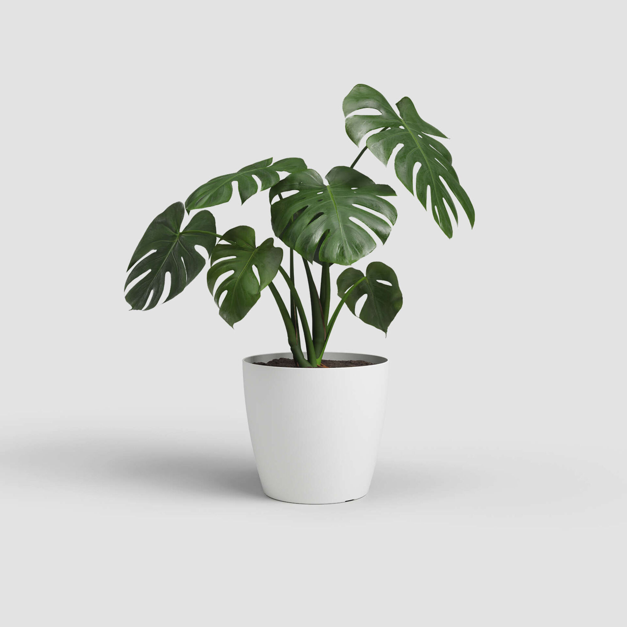 Vaso Redondo Plástico 12cm Branco Mate