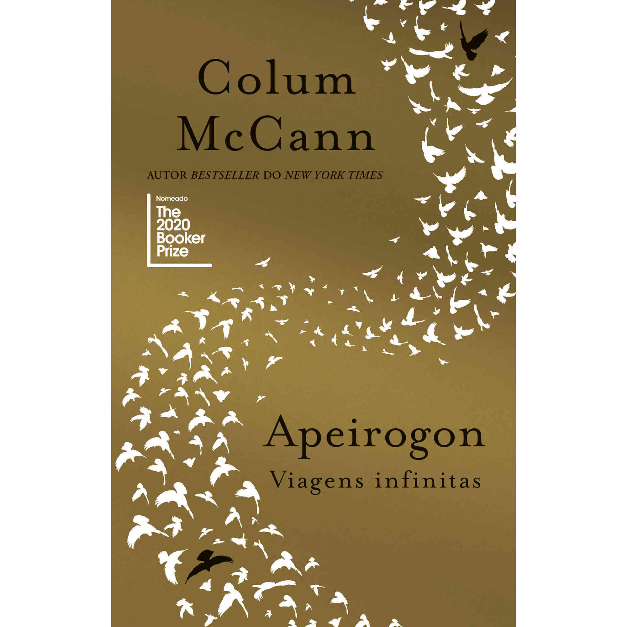 Apeirogon: Viagens Infinitas de Colum McCann