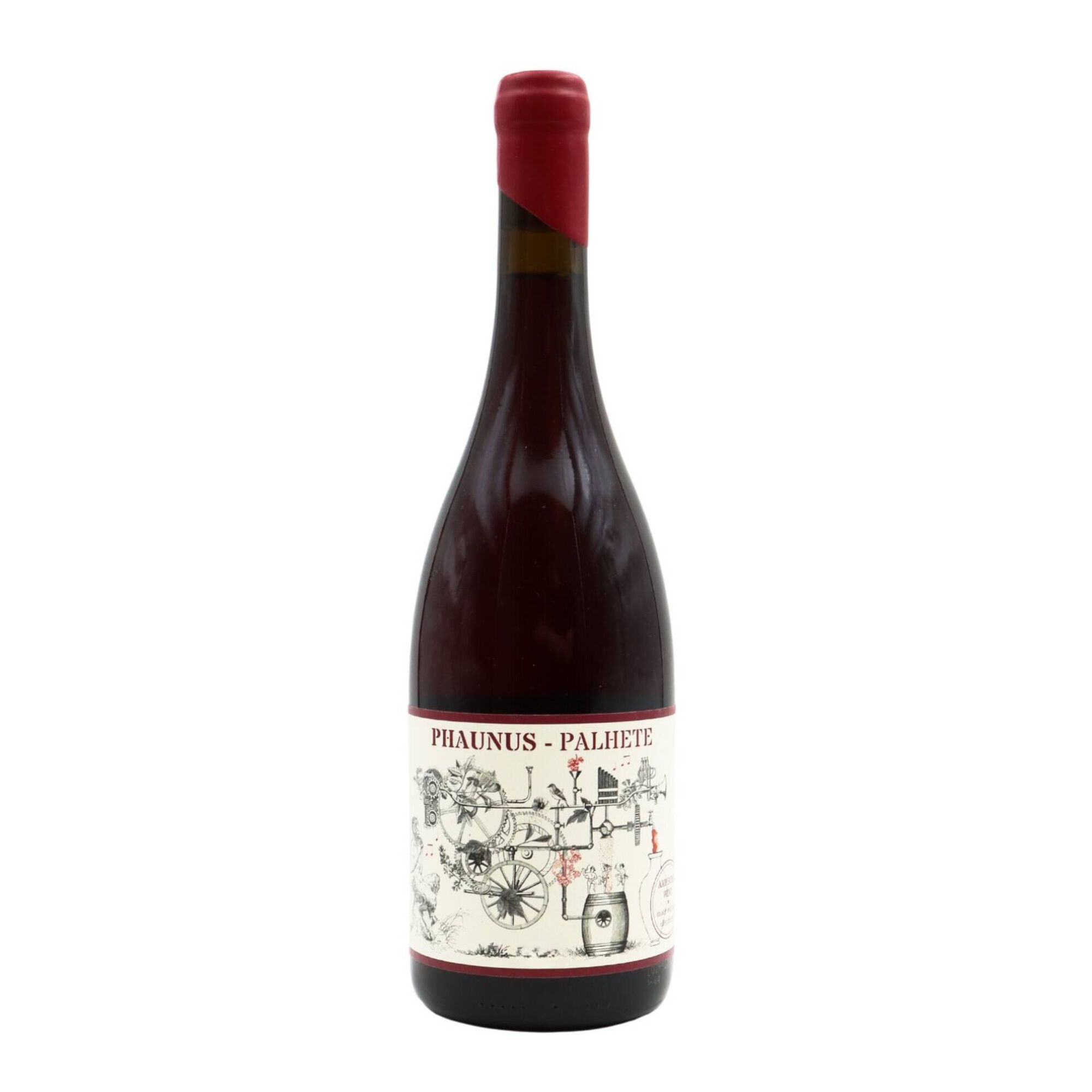 Phaunus Amphora Palhete Vinho Verde Tinto