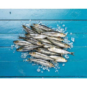 Sardinha Fresca