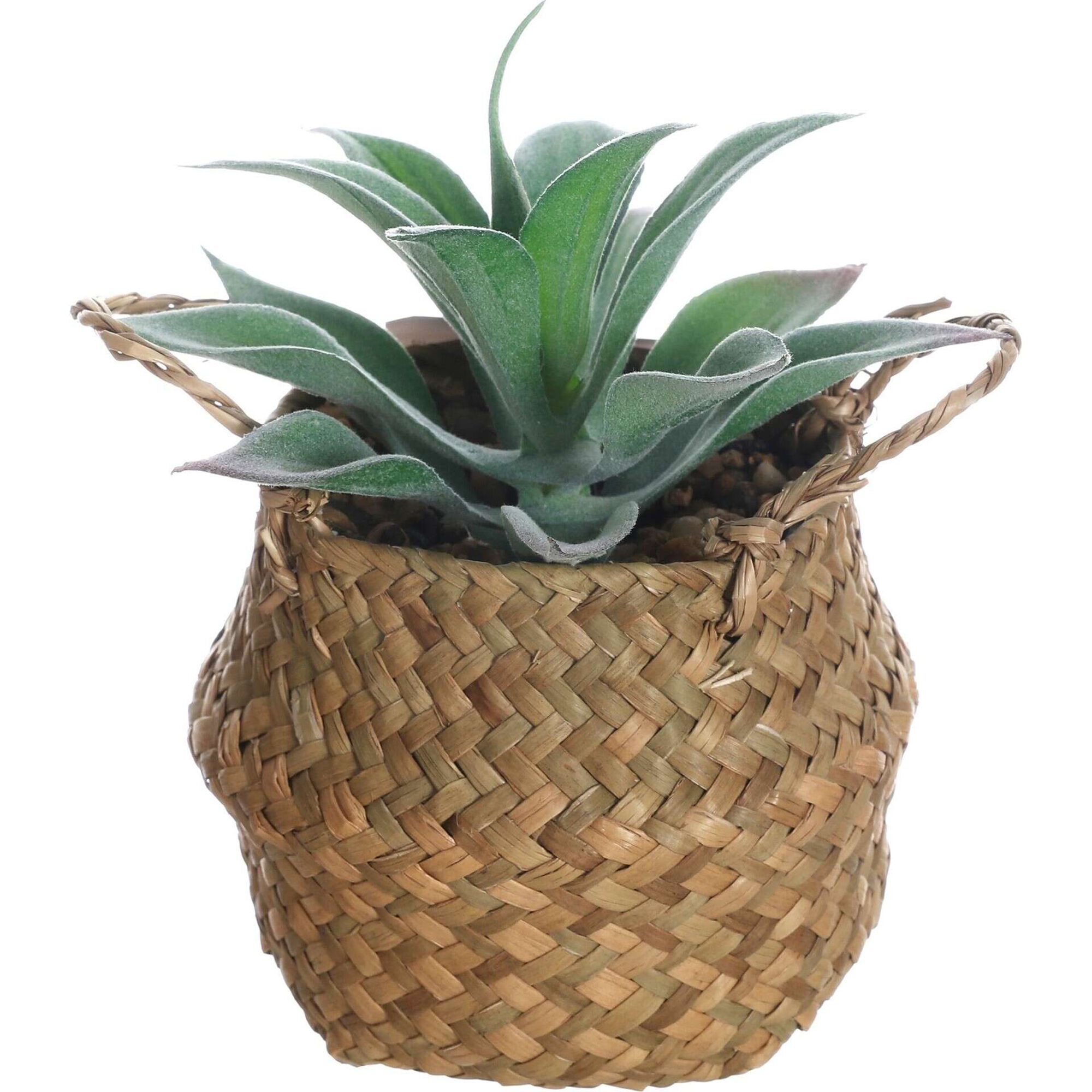 Planta Artificial Suculenta com Cesto com Asas
