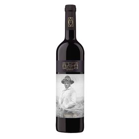 Adega Mayor Reserva Alentejano Vinho Tinto