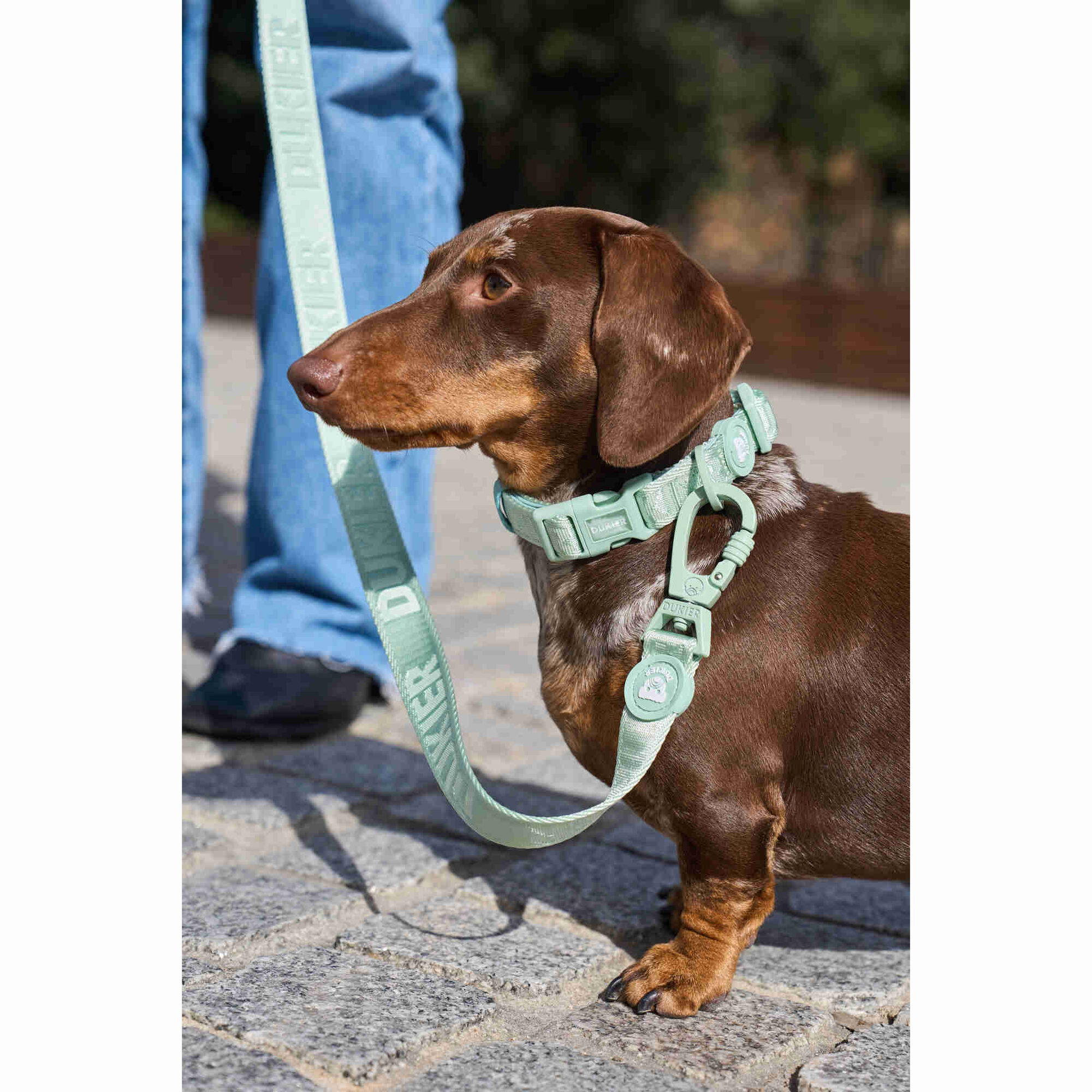 Coleira para C&atilde;o Soft Green XS Dukier