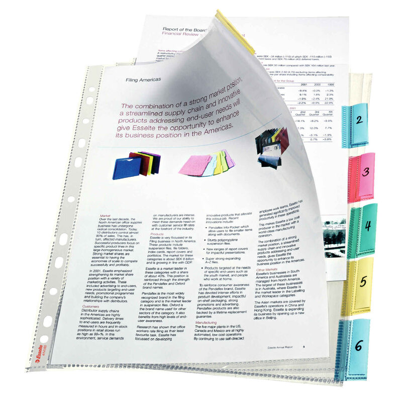 Bolsa Catálogo Transparente A4 Esselte