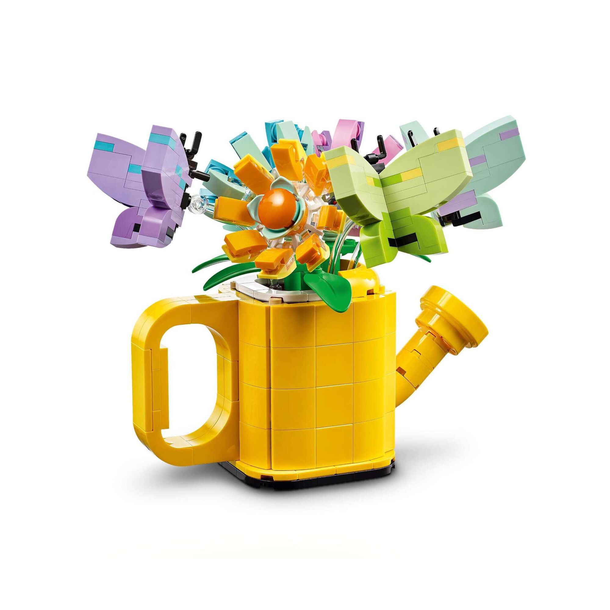 Flores num Regador - 31149