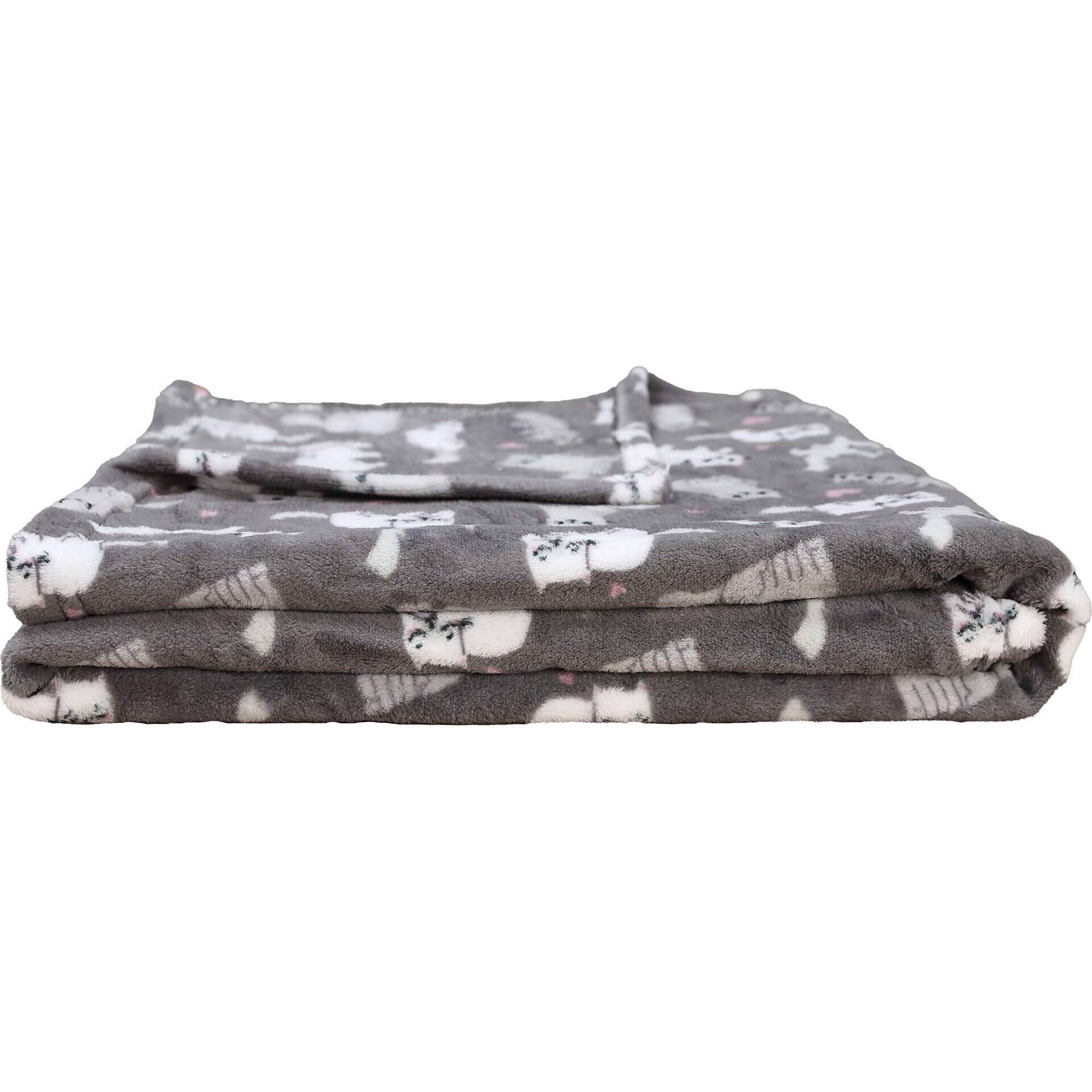 Manta Flanela 130x160cm Catanho Kasa